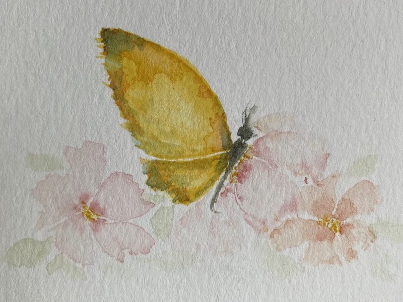Gentle Spirit Yoga - butterfly